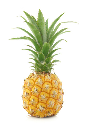 fresh mini pineapple fruit on a white backgroundの写真素材