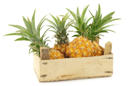 fresh mini pineapple fruit in a wooden box on a white backgroundの写真素材
