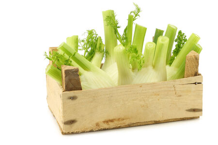 fresh fennel in a wooden crate on a white backgroundの写真素材