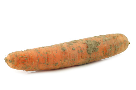 carrot on a white backgroundの写真素材