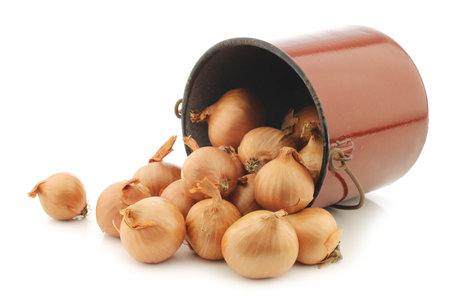 shallots in a brown enamel cooking pot on a white backgroundの写真素材