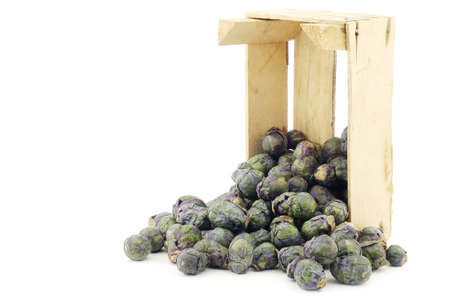 purple brussel sprouts in a wooden crate on a white backgroundの写真素材