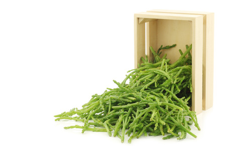 fresh Samphire in a wooden crate on a white backgroundの写真素材