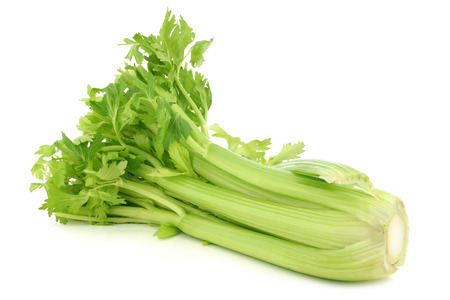 fresh celery on a white backgroundの写真素材