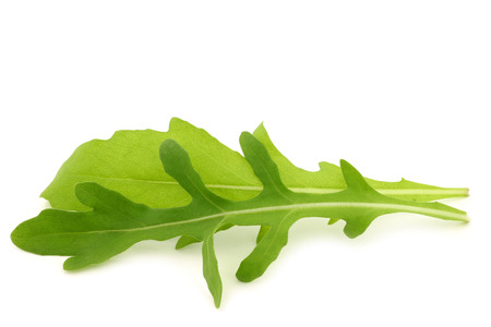 Eruca sativa fresh arugula leaves on a white backgroundの写真素材
