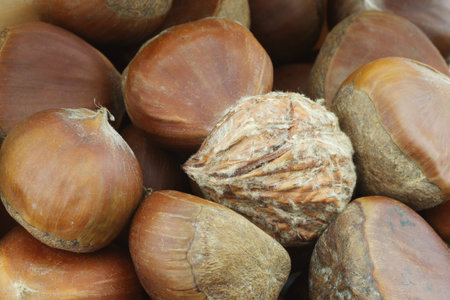 chestnuts background