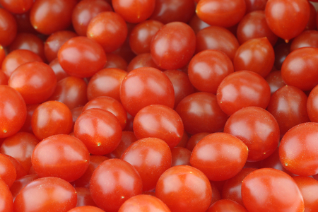 fresh Tomberry very small tomatoes backgroundの写真素材