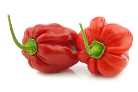 spicy hot red habanero peppers on a white backgroundの写真素材