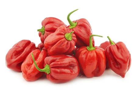 spicy hot red habanero peppers on a white backgroundの写真素材