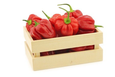 spicy hot red habanero peppers in a wooden box on a white backgroundの写真素材