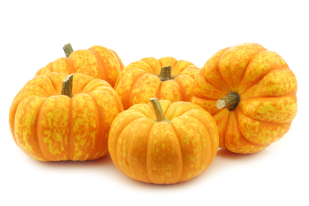 Small yellow and orange pumpkins on a white backgroundの写真素材