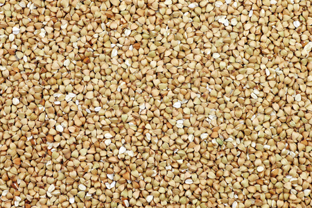 background of biologically grown organic buckwheatの写真素材