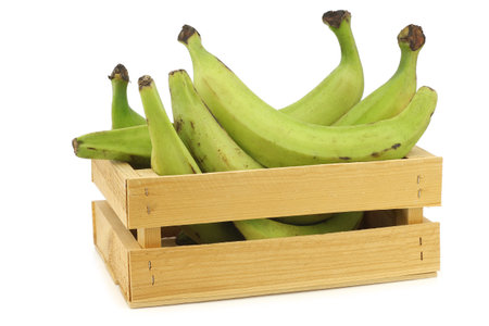 unripe baking bananas (plantain bananas) in a wooden crate on a white backgroundの写真素材