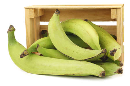 unripe baking bananas (plantain bananas) in a wooden crate on a white backgroundの写真素材