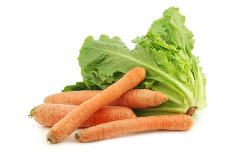 Fresh endive and some winter carrots on a white backgroundの写真素材