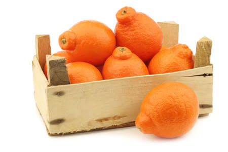 fresh and colorful Minneola tangelo fruit in a wooden crate on a white backgroundの写真素材