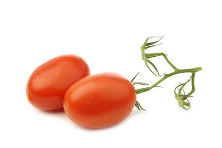 fresh and colorful italian roma tomatoes on the vine on a white backgroundの写真素材
