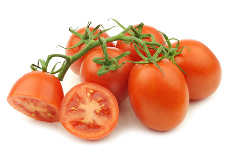 fresh and colorful italian roma tomatoes on the vine on a white backgroundの写真素材