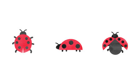 Simple ladybug watercolor drawing. Ladybugs set vector illustration isolated on white background. Cute ladybug clipart. Hand drawn cartoon styleのイラスト素材