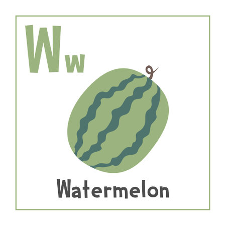 Watermelon clipart. Watermelon vector illustration cartoon flat style. Fruits start with letter W. Fruit alphabet card. Learning letter W card. Kids education. Cute watermelonのイラスト素材