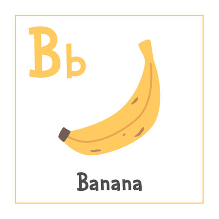 Banana clipart. Banana vector illustration cartoon flat style. Fruits start with letter B. Fruit alphabet card. Learning letter B card. Kids education. Cute banana vector designのイラスト素材