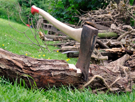 Wood Cutting - Lumberjack's axe stuck in a tree log on green grass with a pile of firewood in the...