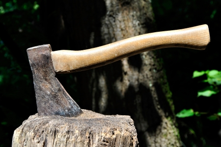 Old Lumberjack's axe stuck in a chopping block with natural backgroundの写真素材
