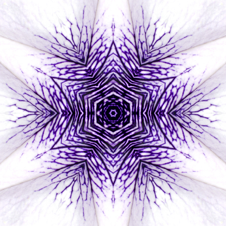 White Mandala Concentric Flower Kaleidoscope Center. Kaleidoscopic Design Patternの写真素材