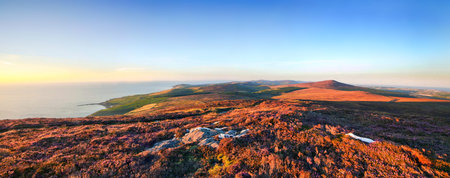 View from Cronk ny Arrey Laa with blooming heather. Panoramic composition looking towards Niarbyl,...