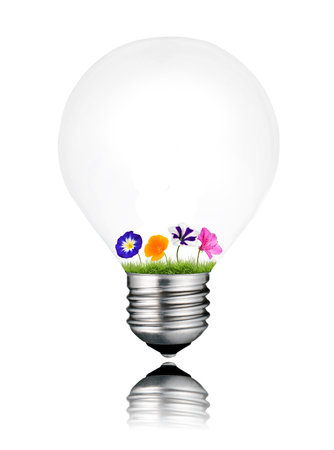 Colorful Flowers Growing Inside Light Bulb Isolated on White Background. Light bulb has a reflection