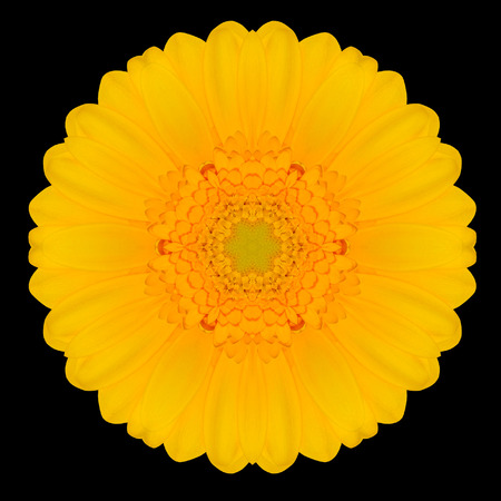 Yellow Flower Mandala. Kaleidoscopic design Isolated on Black Backgroundの写真素材