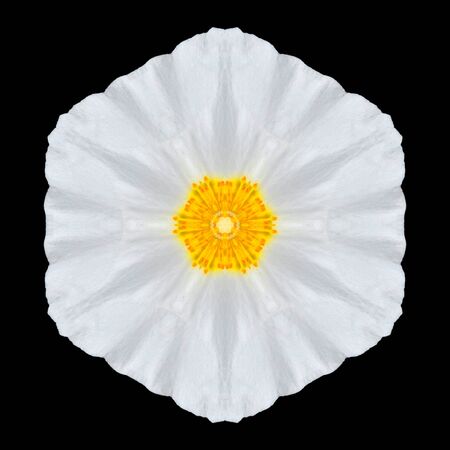 White Flower Mandala. Kaleidoscopic design Isolated on Black Background. Mirrored patternの写真素材
