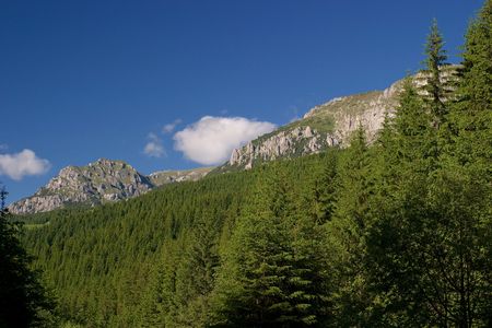 Scenic Carpathian Mountains in Transylvania, Romania.の写真素材