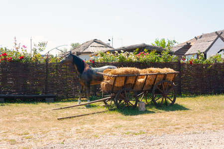 hay cart, hay on a cart, village lifeの写真素材