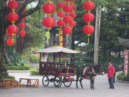 Horse cart in Chinaの素材