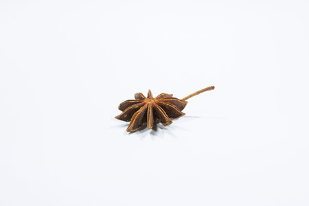 star anise isolate white backgroundの写真素材