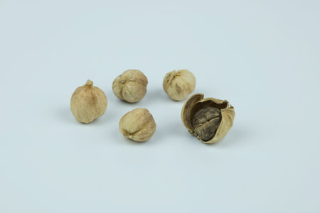 Amomum testaceum herbal healthcare seasonningの写真素材