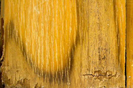 Cracked brown wood surfaceの写真素材