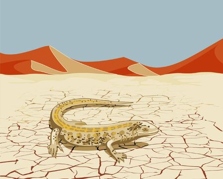 Desert landscape with lizardのイラスト素材
