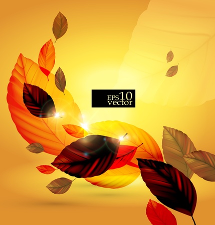 Autumn leaves designのイラスト素材