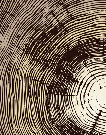 Wood cross section background のイラスト素材