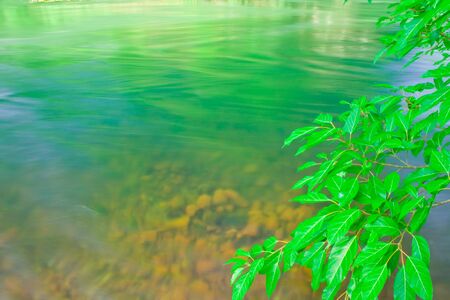Leaf and riverの写真素材
