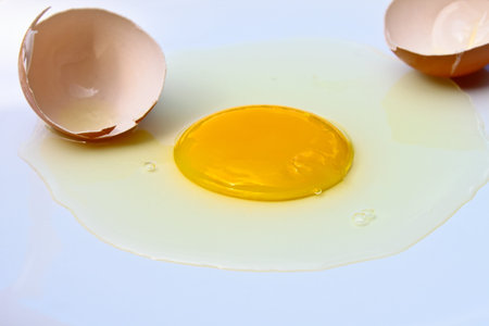 Broken egg on the white floorの写真素材