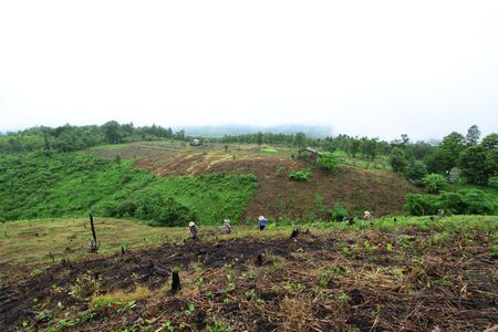 Agriculturists were cultivating on their croftの写真素材