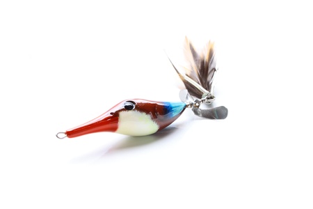Fishing bait for excited gameの写真素材