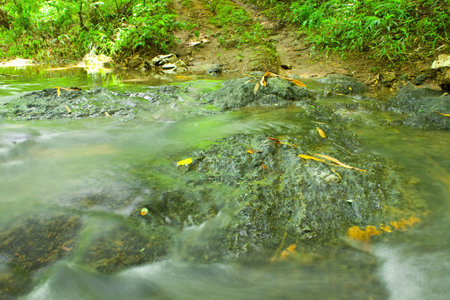 Rill in tropical forest cross the way