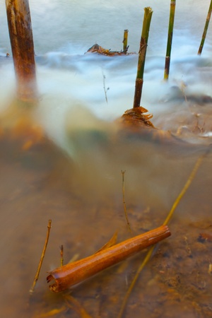 Bamboo stakes for change direction of current in water farmの写真素材