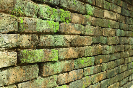 Old wall with big bricksの写真素材