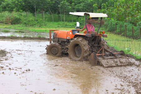 Machanization of Thai farmer for rice cultivationの写真素材