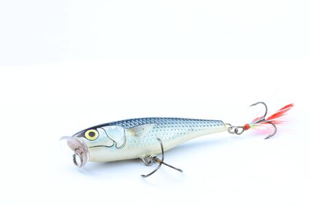 Bait style popper on  Sil  or small fresh water fishの写真素材